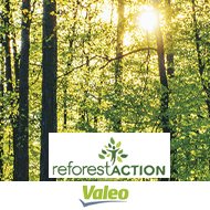 news_valeo_reforest